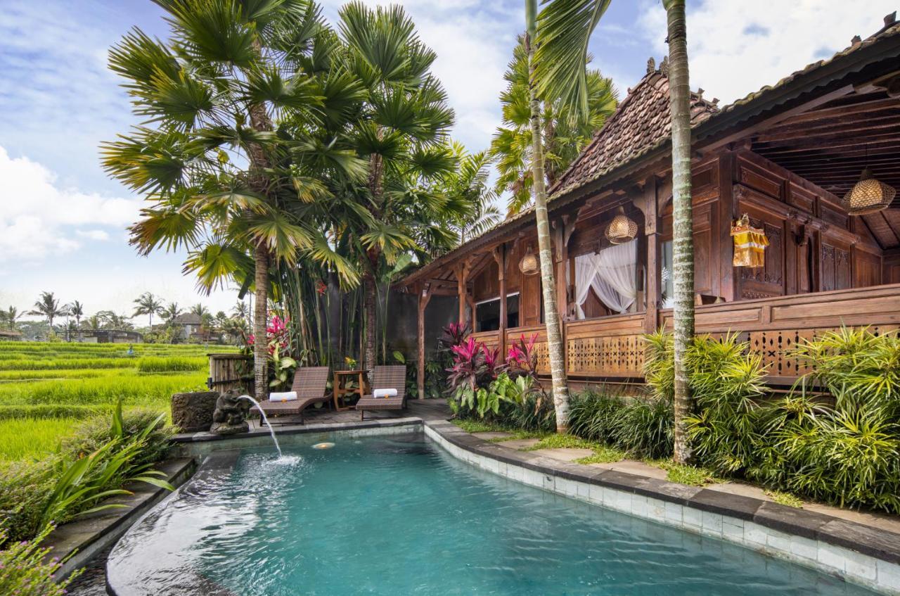 Madani Antique Ubud