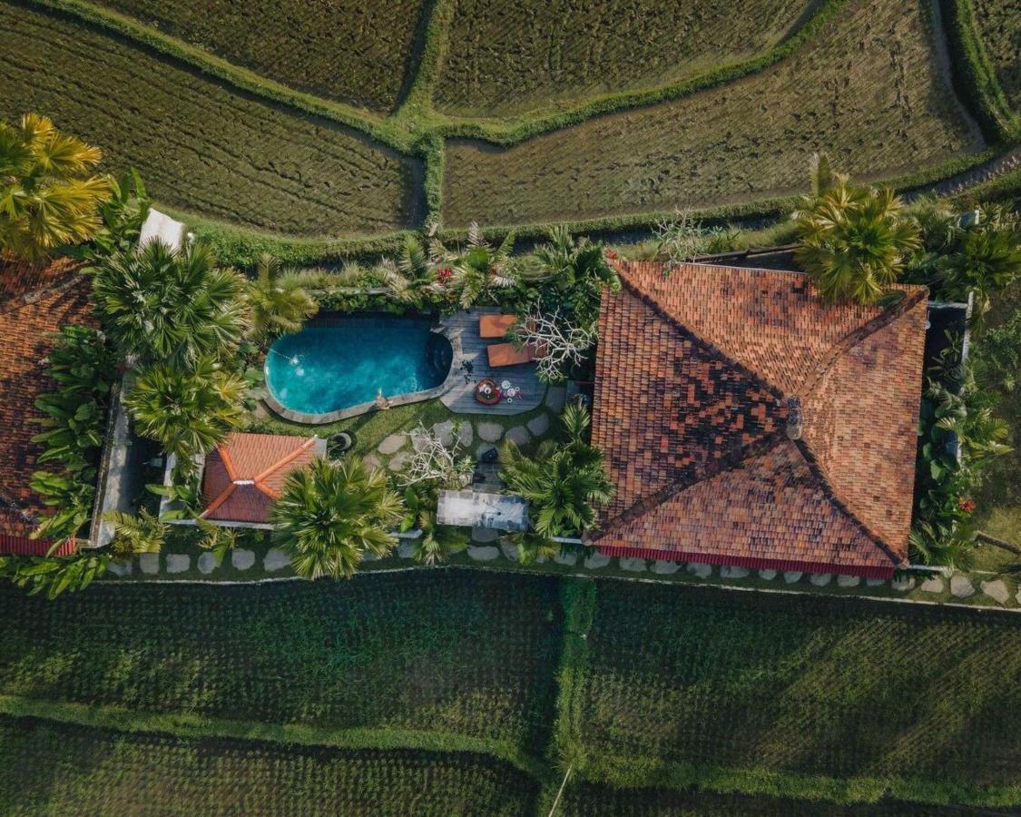 Madani Antique Villa *