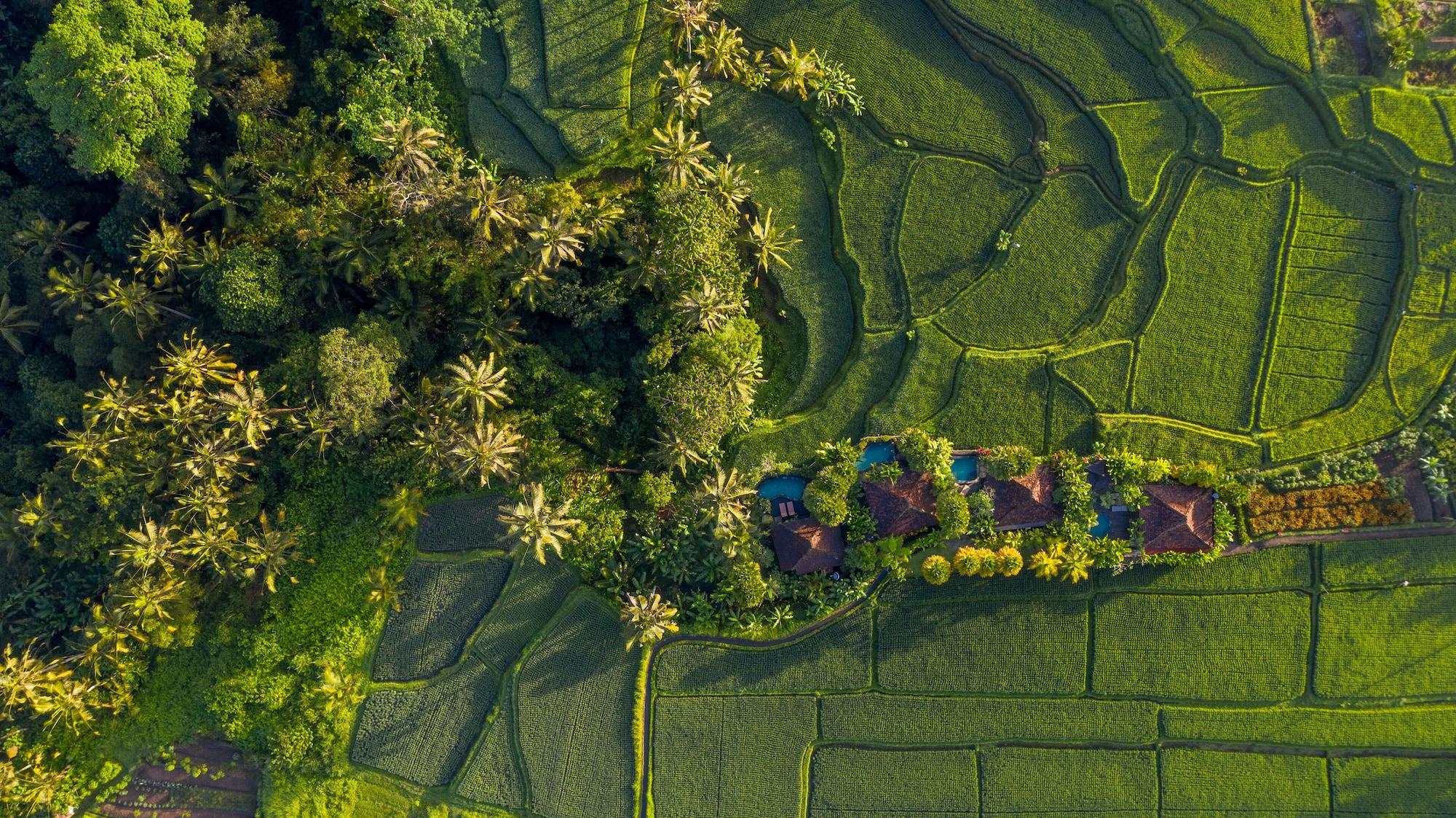 Villa Madani Antique Ubud