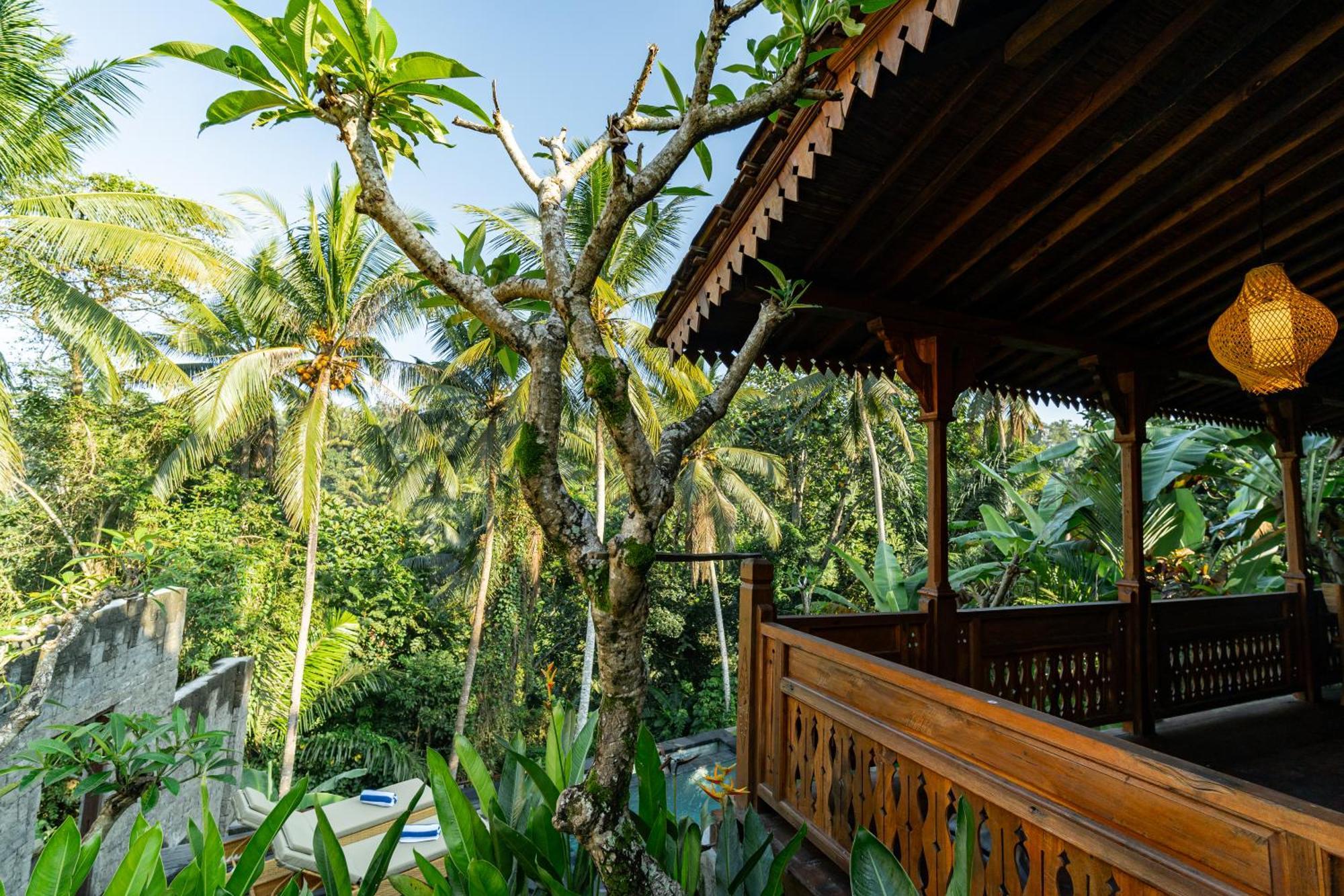 Madani Antique Villa *